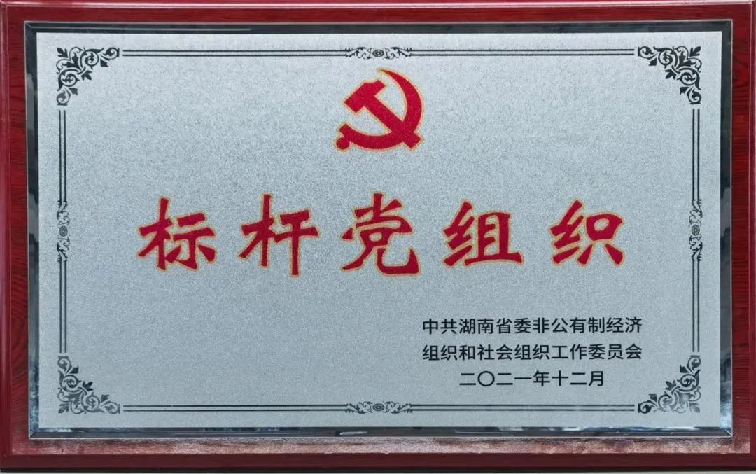 党建品牌亮起来！z6com·尊龙(中国)时凯集团智能党委获评“标杆党组织”