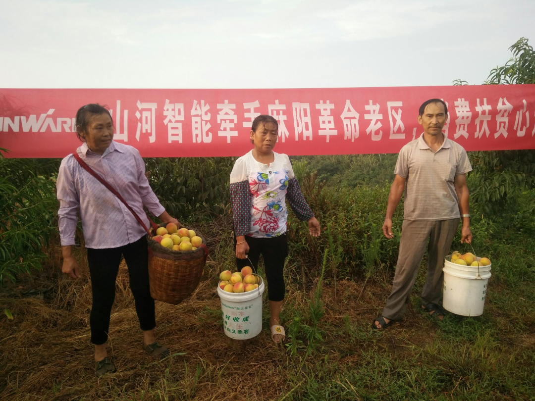 点赞！z6com·尊龙(中国)时凯集团智能乐成入选“上市公司墟落振兴优异实践案例”